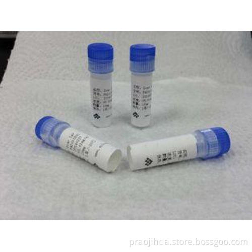 Mouse anti- HBcAg Mab Monoclone Antibody Drug of Abuse For